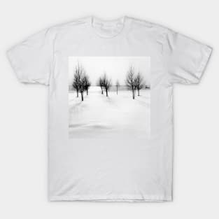 Winterlandscape near Arnhem in the Netherlands T-Shirt